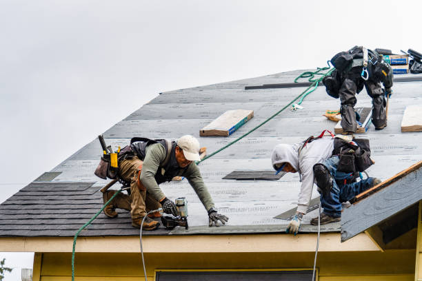 Professional Roofing technician working in Allegany, OR